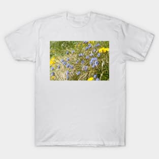 Jasione Montana T-Shirt